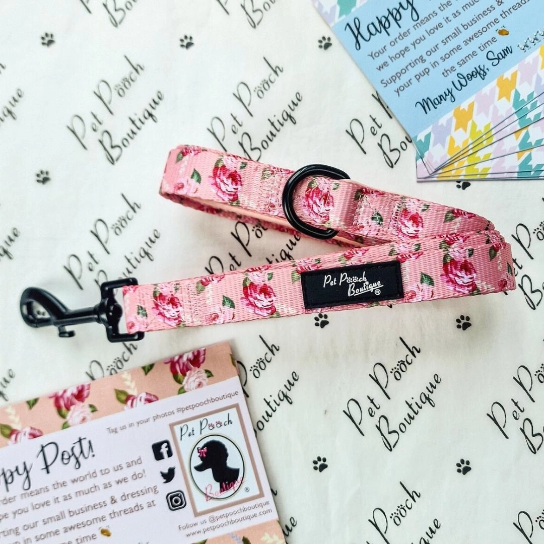 Sunday Rose Dog Collar