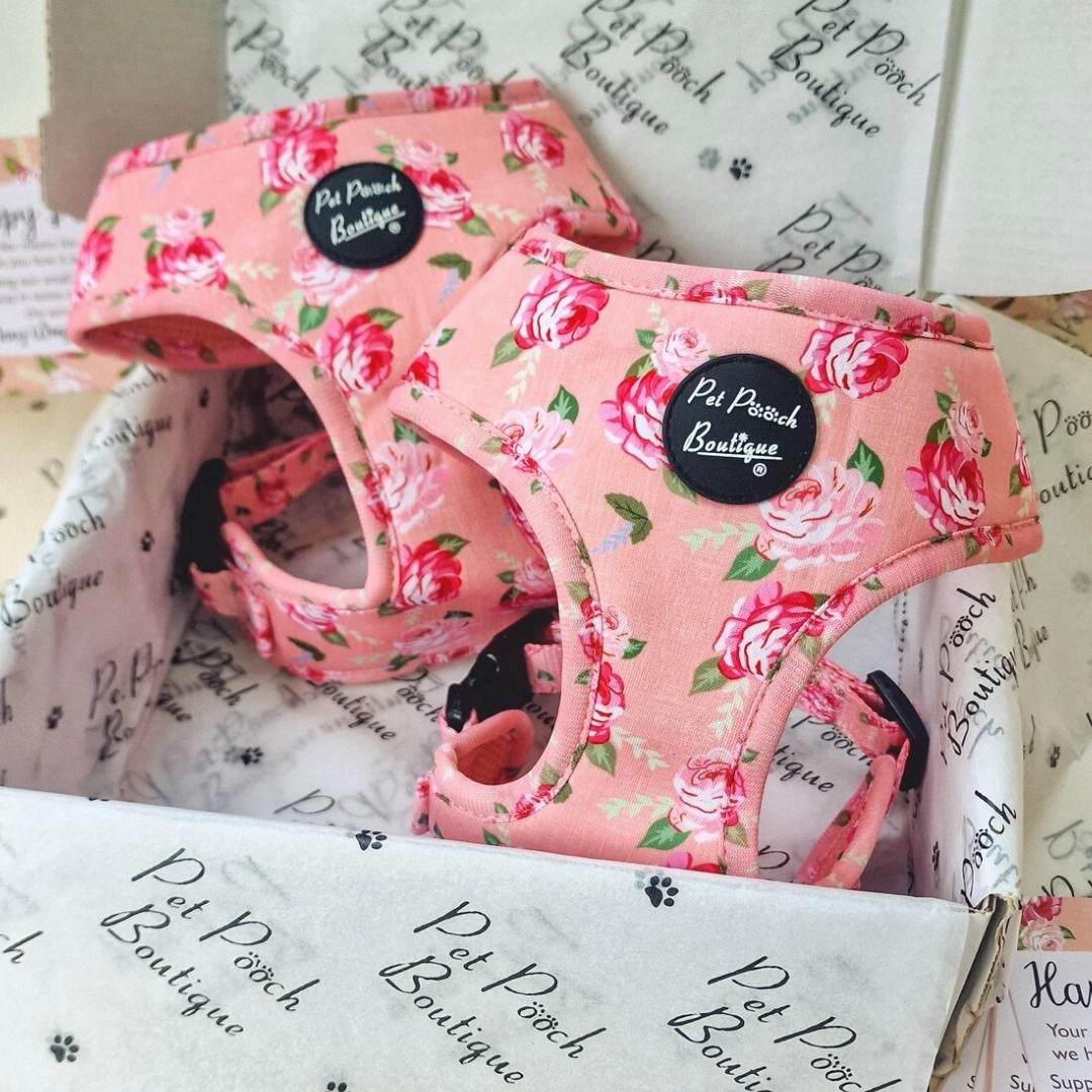 Sunday Rose Dog Harness