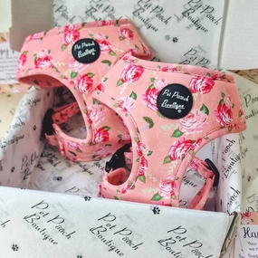 Sunday Rose Dog Harness