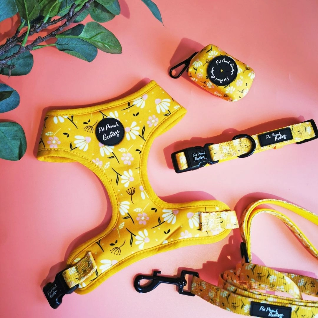 Sunshine Daisy Dog Collar