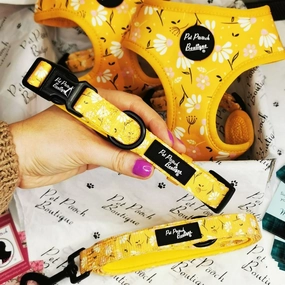 Sunshine Daisy Dog Collar