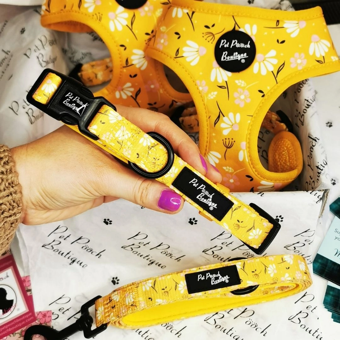 Sunshine Daisy Dog Collar