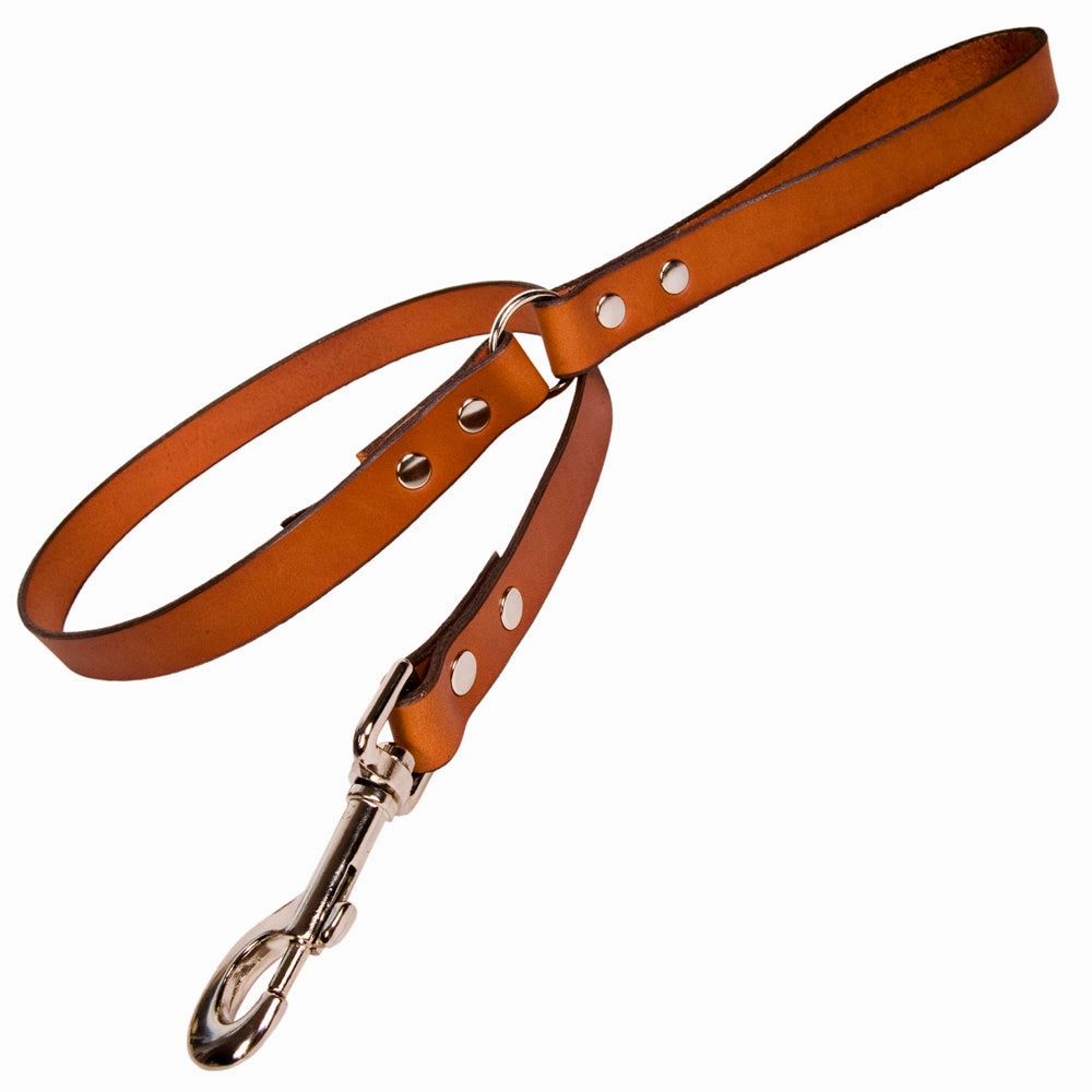 Tan Leather Dog Collars