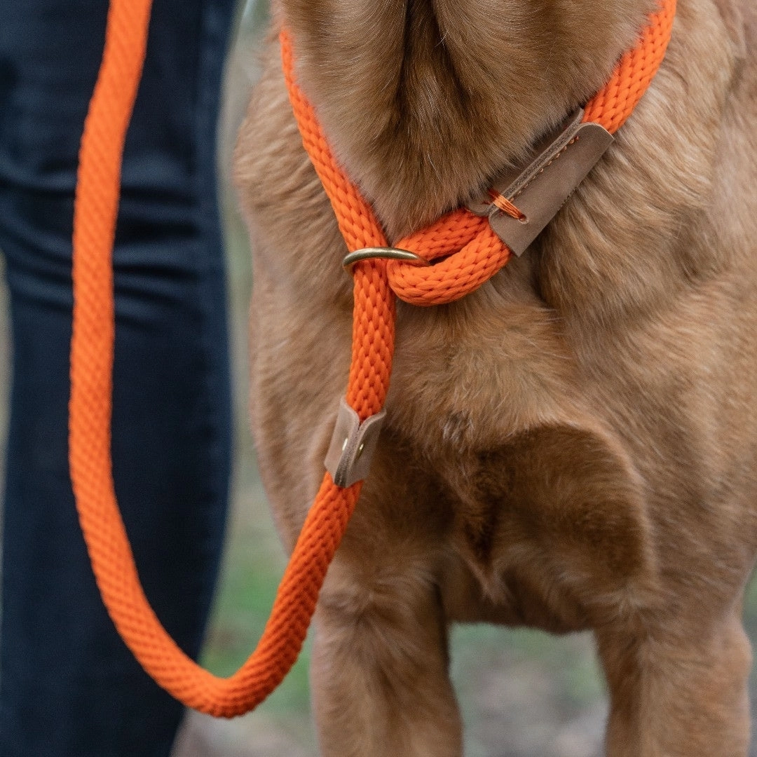 Tangerine Orange Rope Dog Leads by Ruff And Tumble