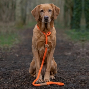 Tangerine Orange Rope Dog Leads by Ruff And Tumble