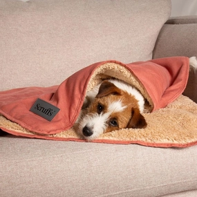 Terracotta Snuggle Pet Blanket