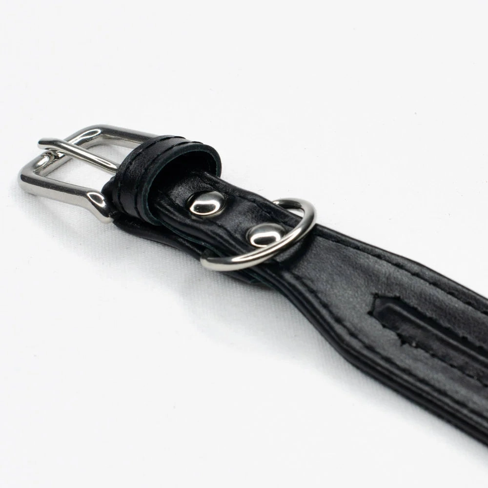 The Ridge Wide Leather Dog Collar by Petiquette