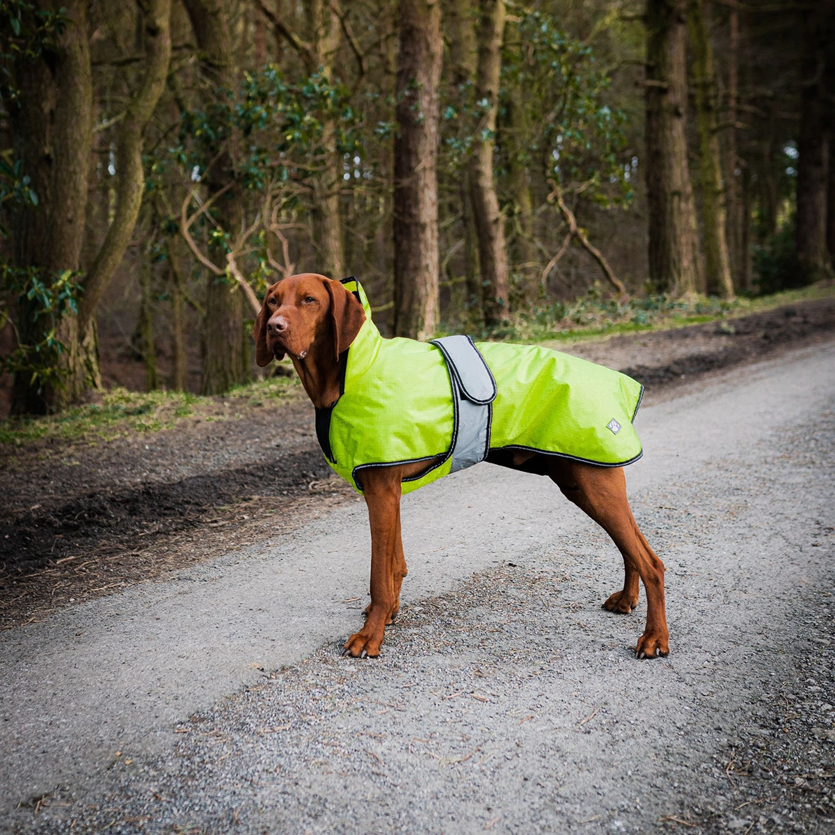 The Ultimate 2 in 1 Hi-Viz Waterproof Dog Coat by Danish Design