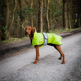 The Ultimate 2 in 1 Hi-Viz Waterproof Dog Coat by Danish Design