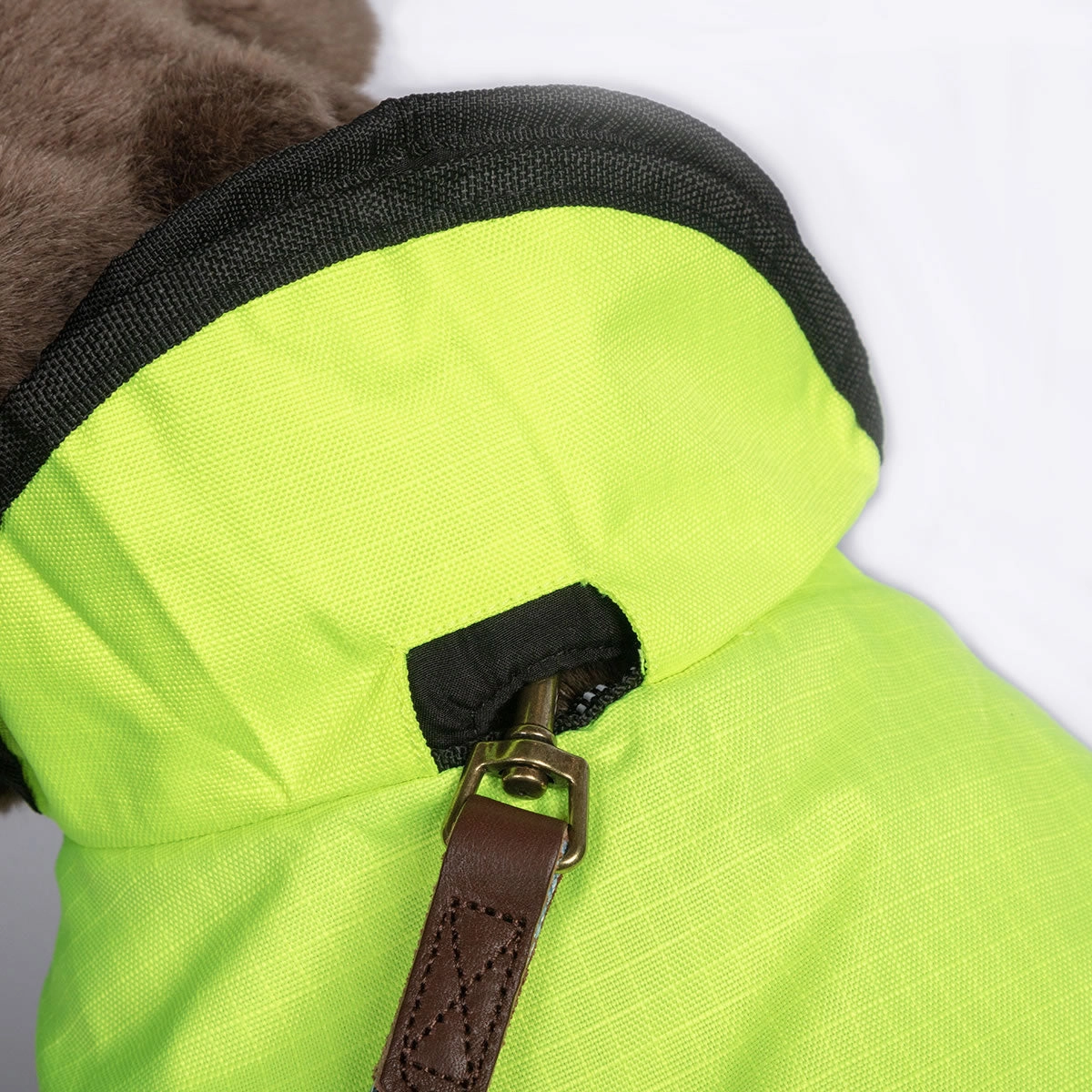 The Ultimate 2 in 1 Hi-Viz Waterproof Dog Coat by Danish Design