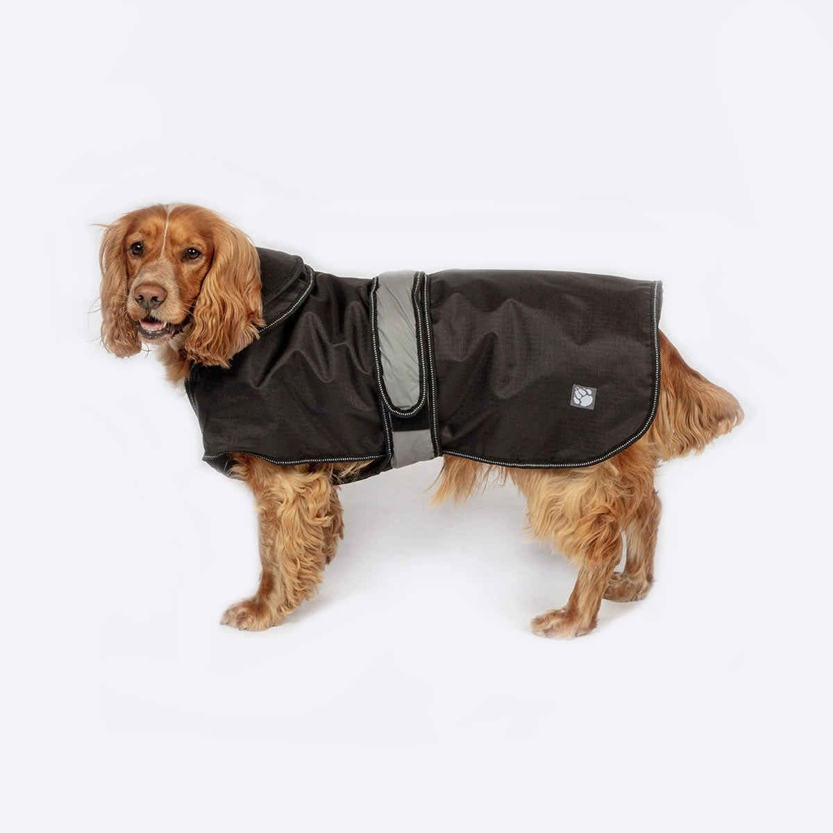 The Ultimate 2 in 1 Waterproof Dog Coat Black