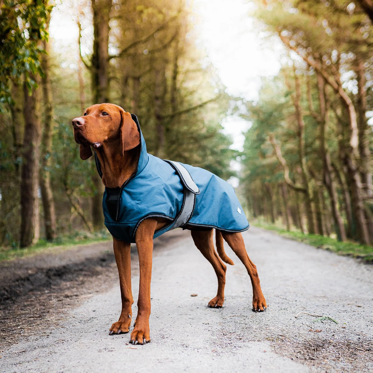 The Ultimate 2 in 1 Waterproof Dog Coat Blue