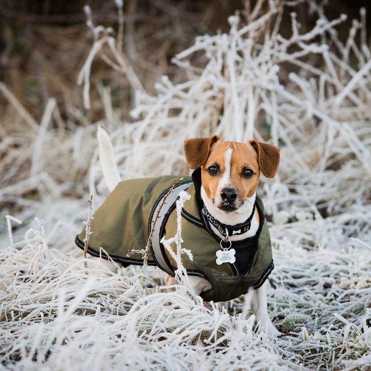 The Ultimate 2 in 1 Waterproof Dog Coat Khaki