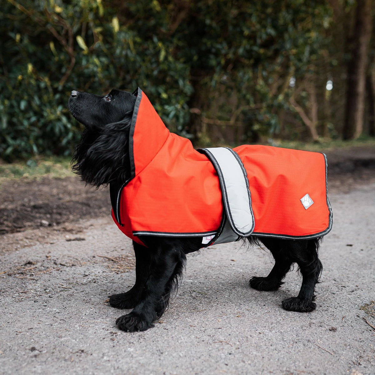 The Ultimate 2 in 1 Waterproof Dog Coat Orange