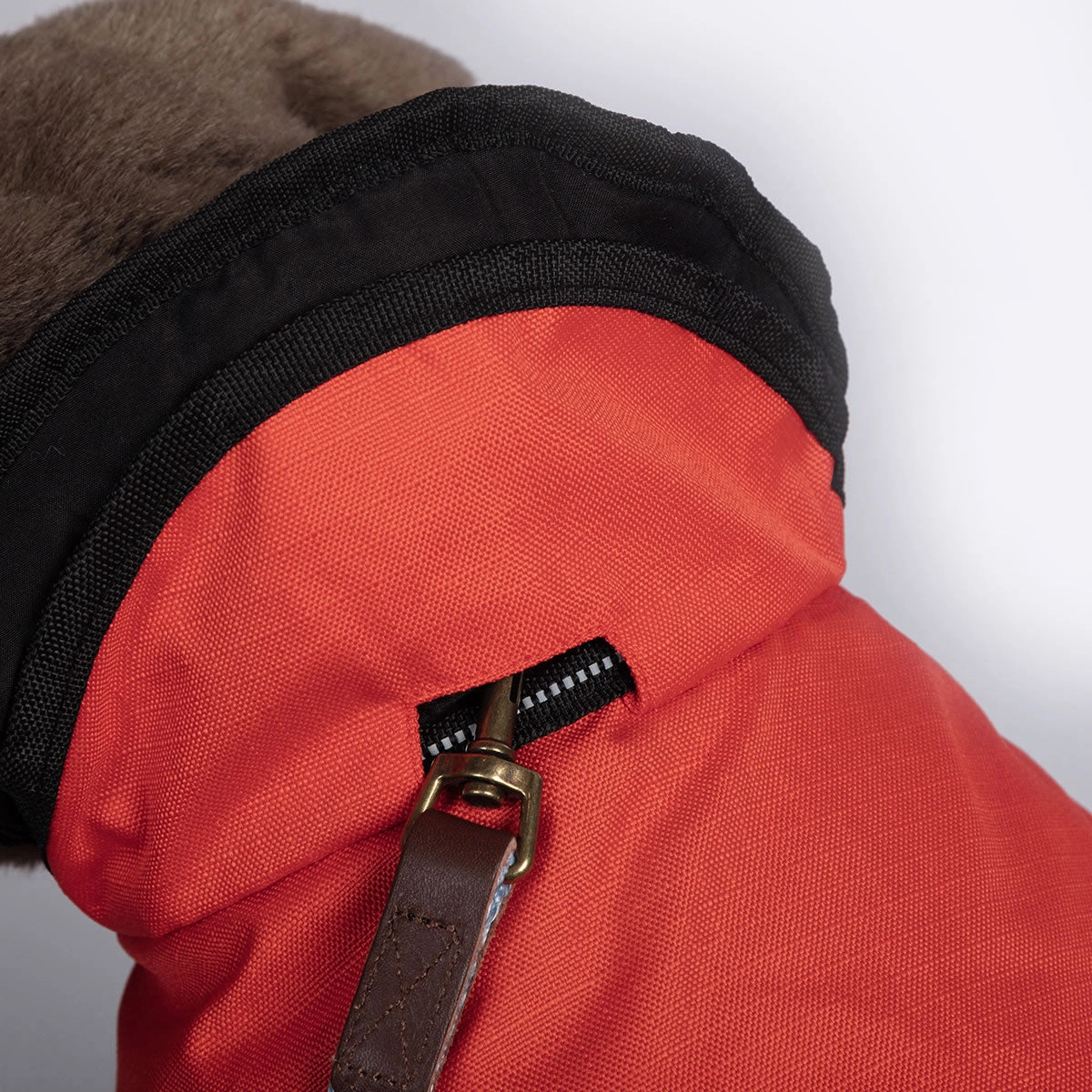 The Ultimate 2 in 1 Waterproof Dog Coat Orange