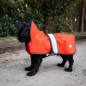The Ultimate 2 in 1 Waterproof Dog Coat Orange