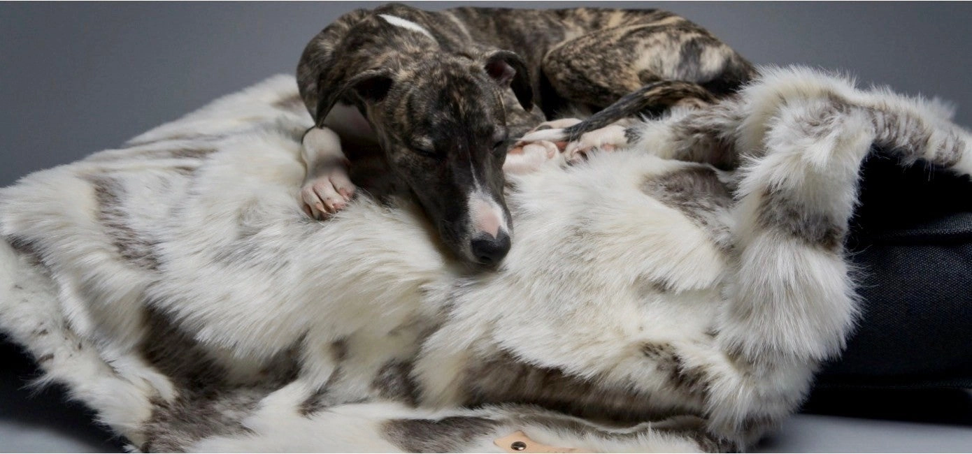 Tosse Faux Fur Dog Blanket by Labbvenn