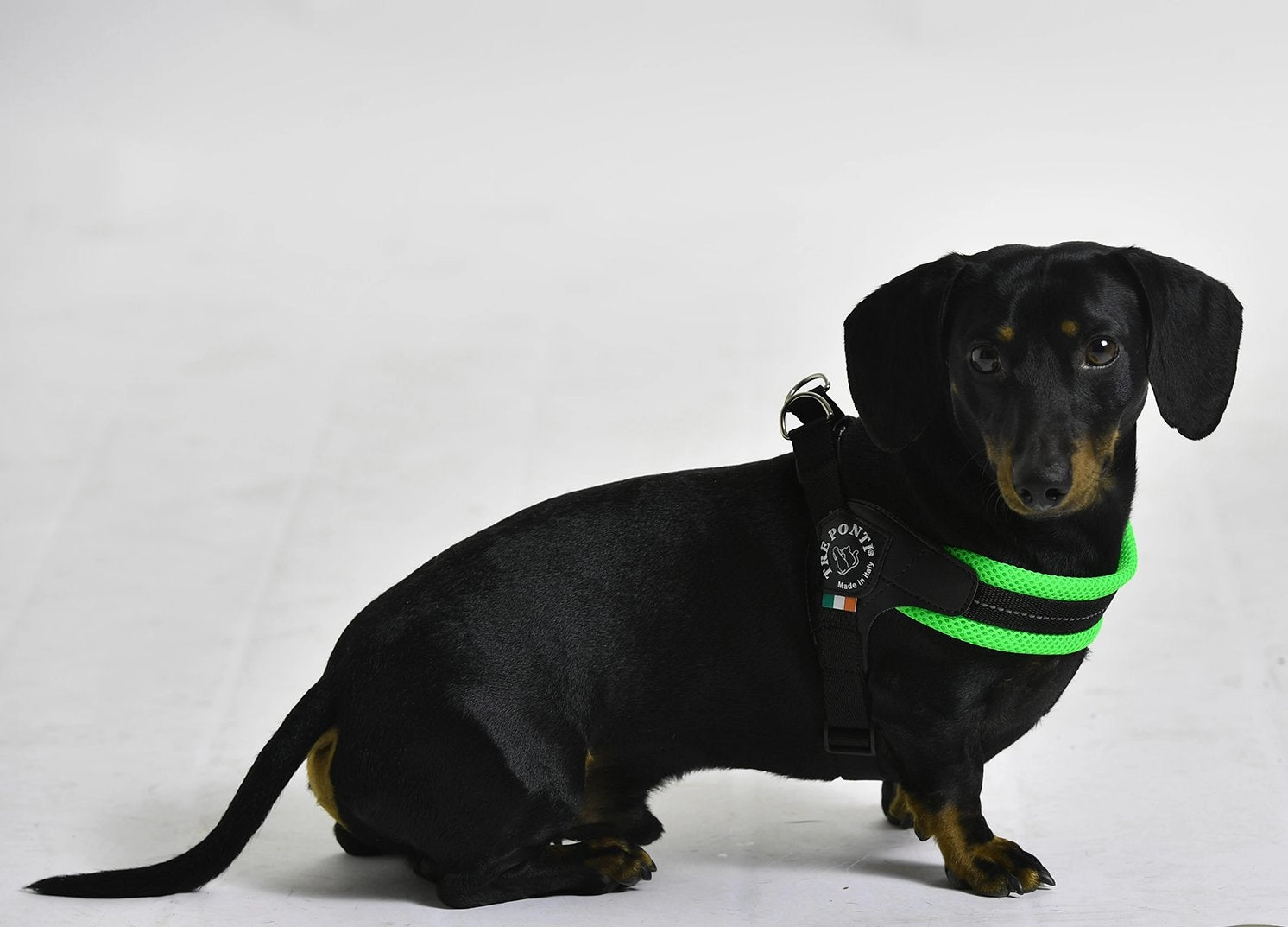 Tre Ponte Easy Fit Fluo Green Mesh Dog Harness with Adjustable Girth
