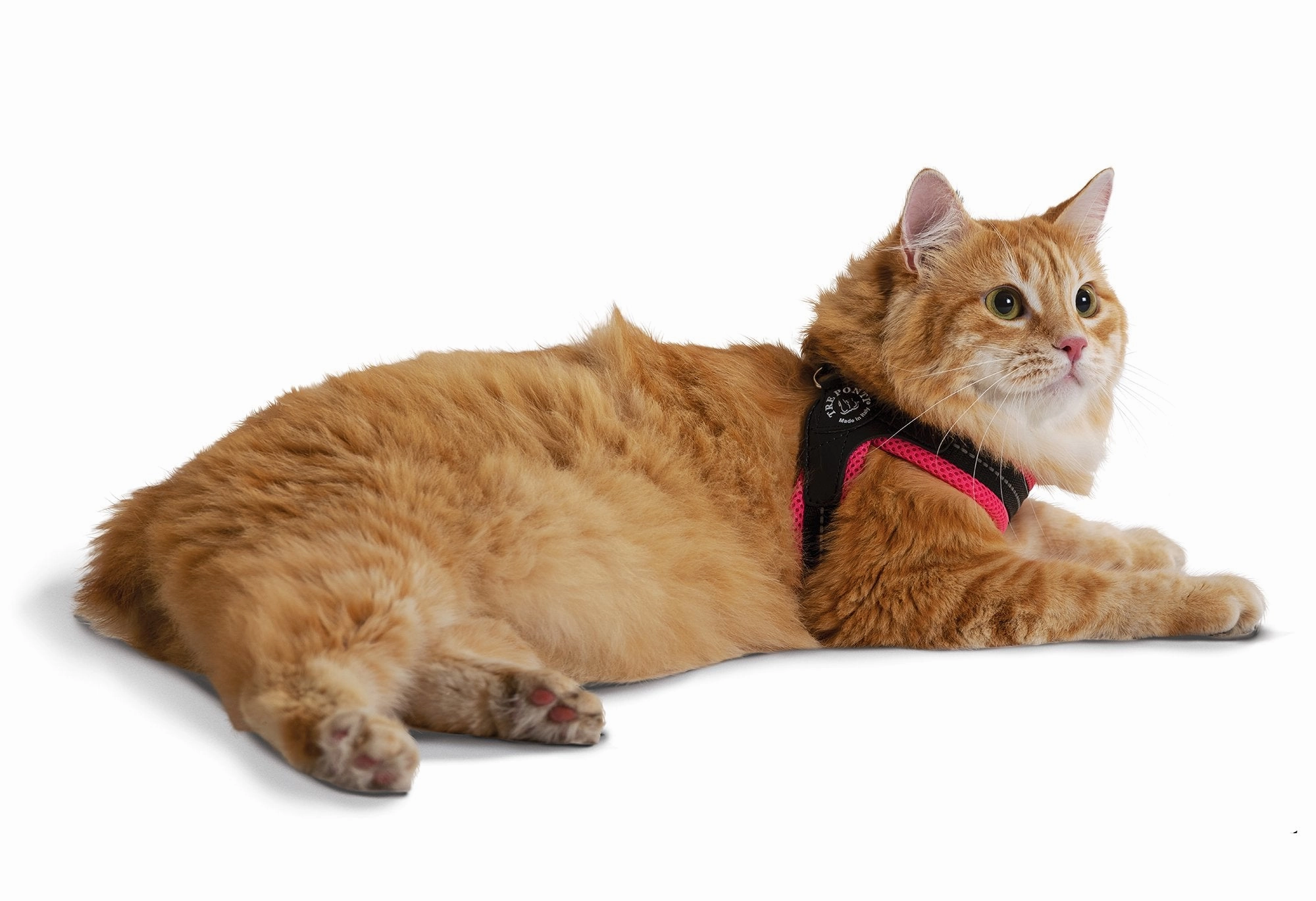 Tre Ponte Easy Fit Fluo Pink Mesh Dog Harness with Adjustable Girth