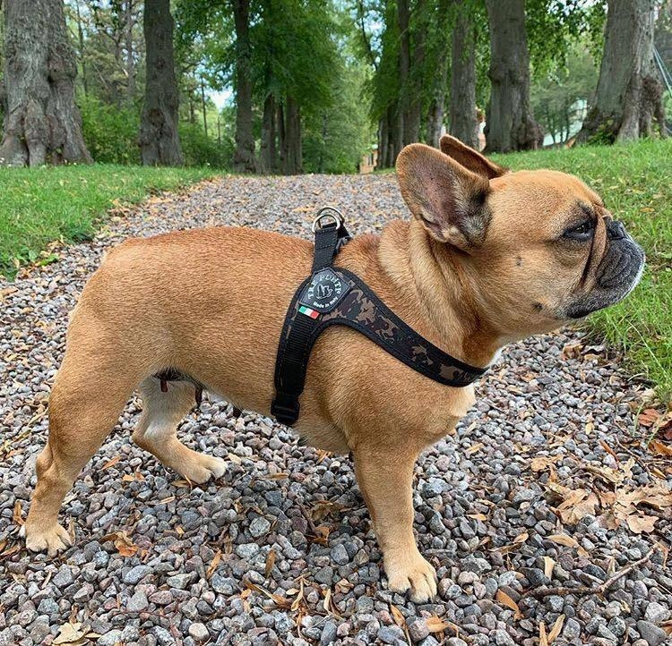 Tre Ponti Easy Fit Camouflage Dog Harness with Adjustable Girth