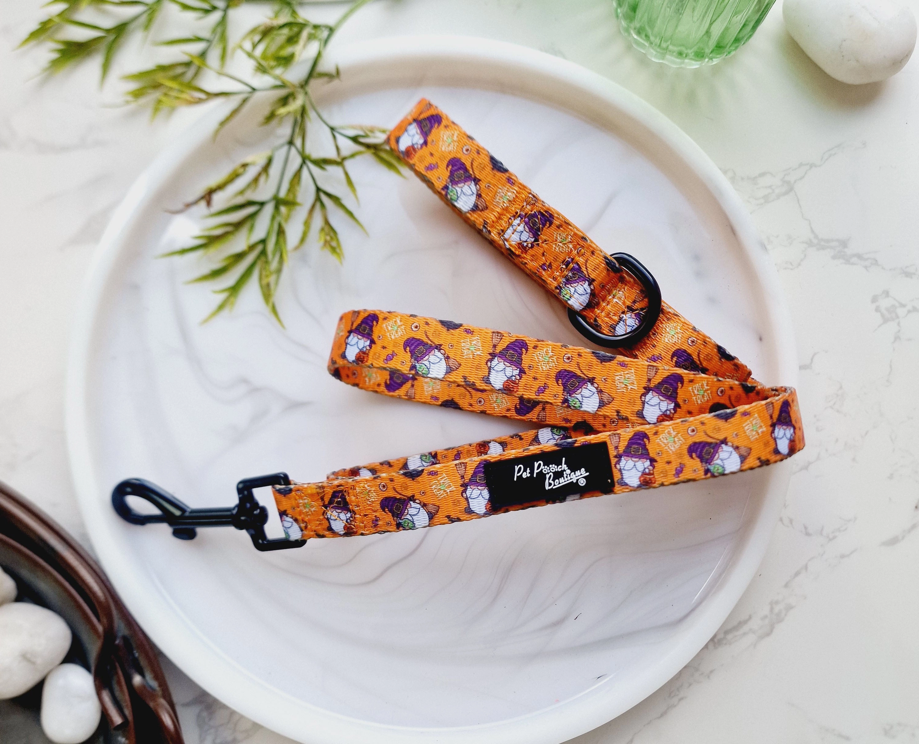 Trick or Treat Harry Halloween Dog Harness