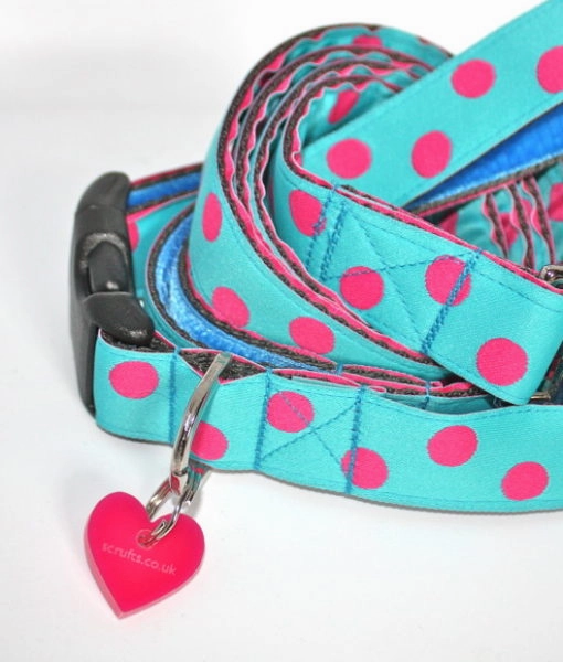 Tropical Turquoise and Pink Polka Dot Designer Dog Collar And Lead Set