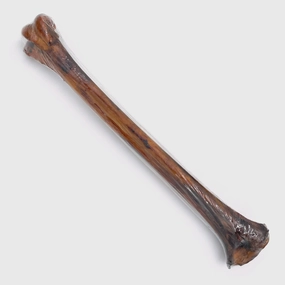 Tuesday's Natural Dog Company Ostrich Shin Bone Dog Chew