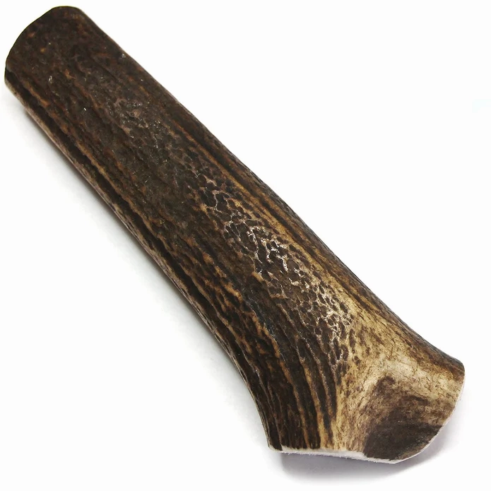 Tuesday's Natural Dog Company Royal Brown Deer Whole Antler - Medium