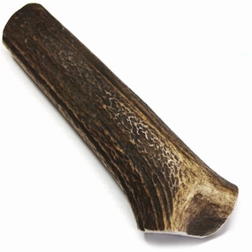 Tuesday's Natural Dog Company Royal Brown Deer Whole Antler - Medium