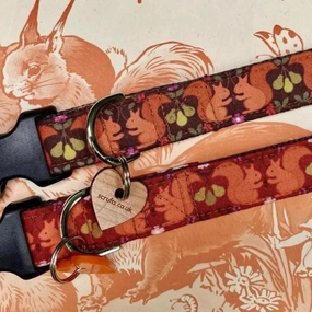 Tufty Squirrel Designer Dog Collar