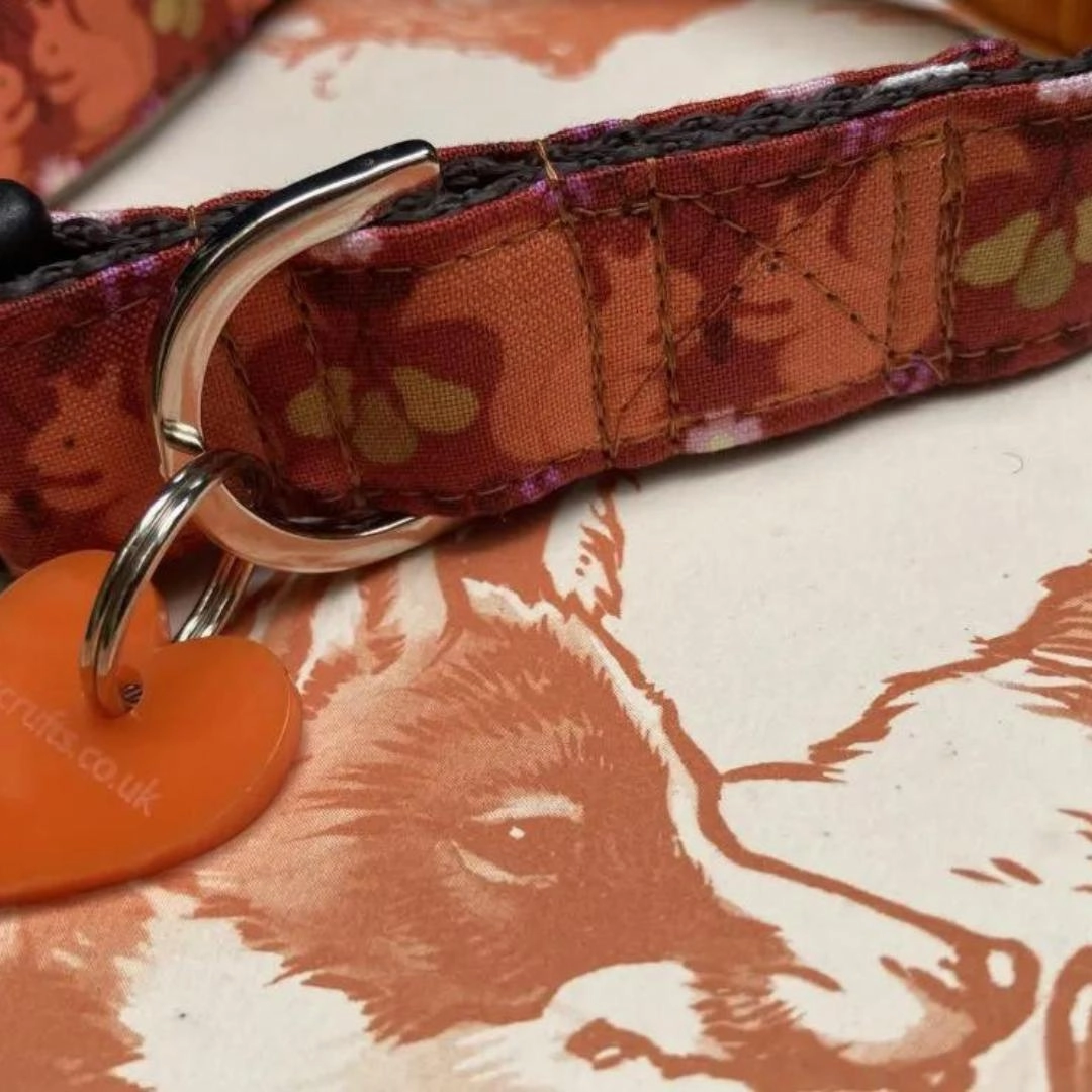 Tufty Squirrel Designer Dog Collar