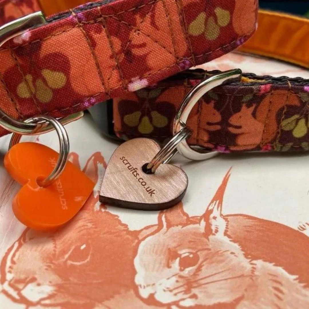Tufty Squirrel Designer Dog Collar