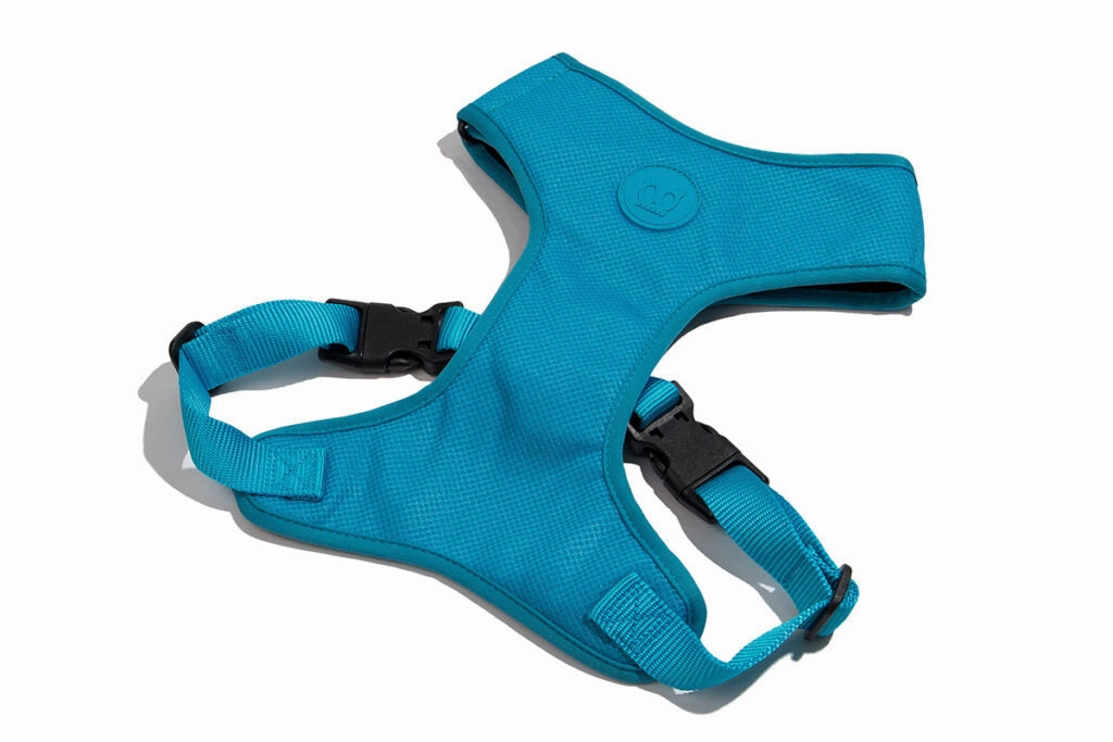 Ultimate Blue Air Mesh Harness