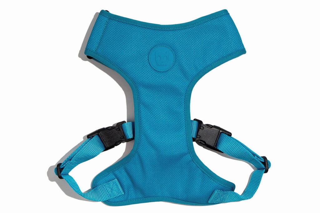 Ultimate Blue Air Mesh Harness