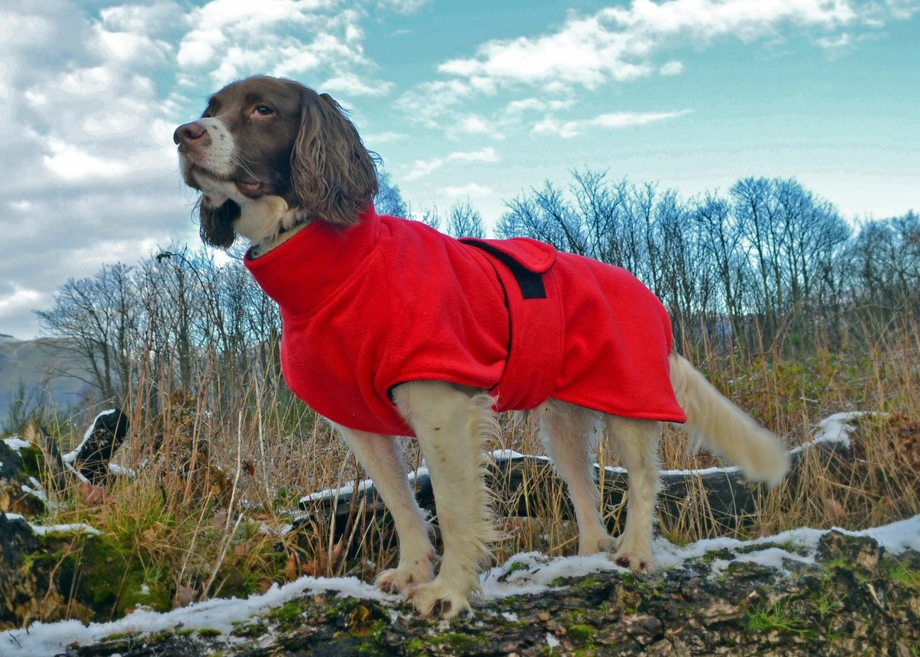 Ultimate Dog Drying Coat