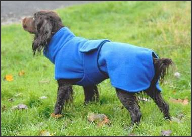 Ultimate Dog Drying Coat