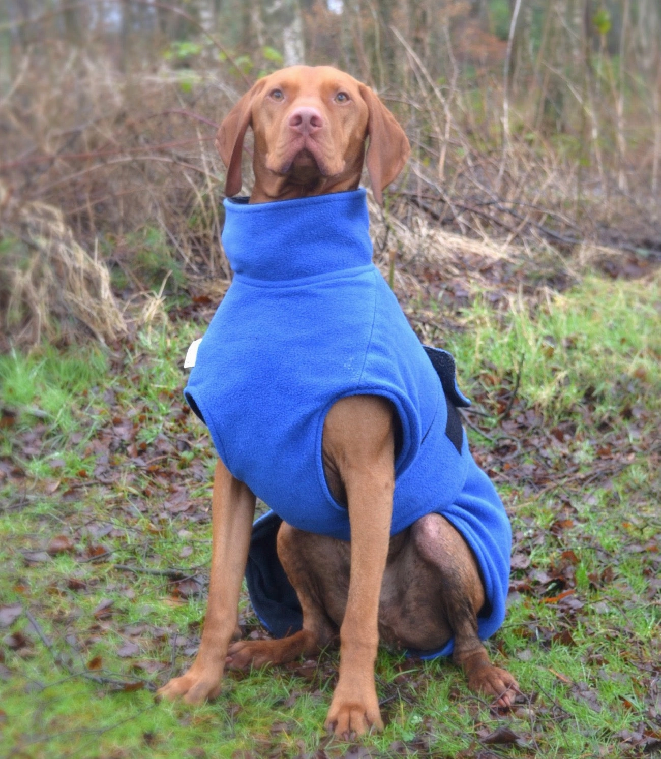 Ultimate Dog Drying Coat