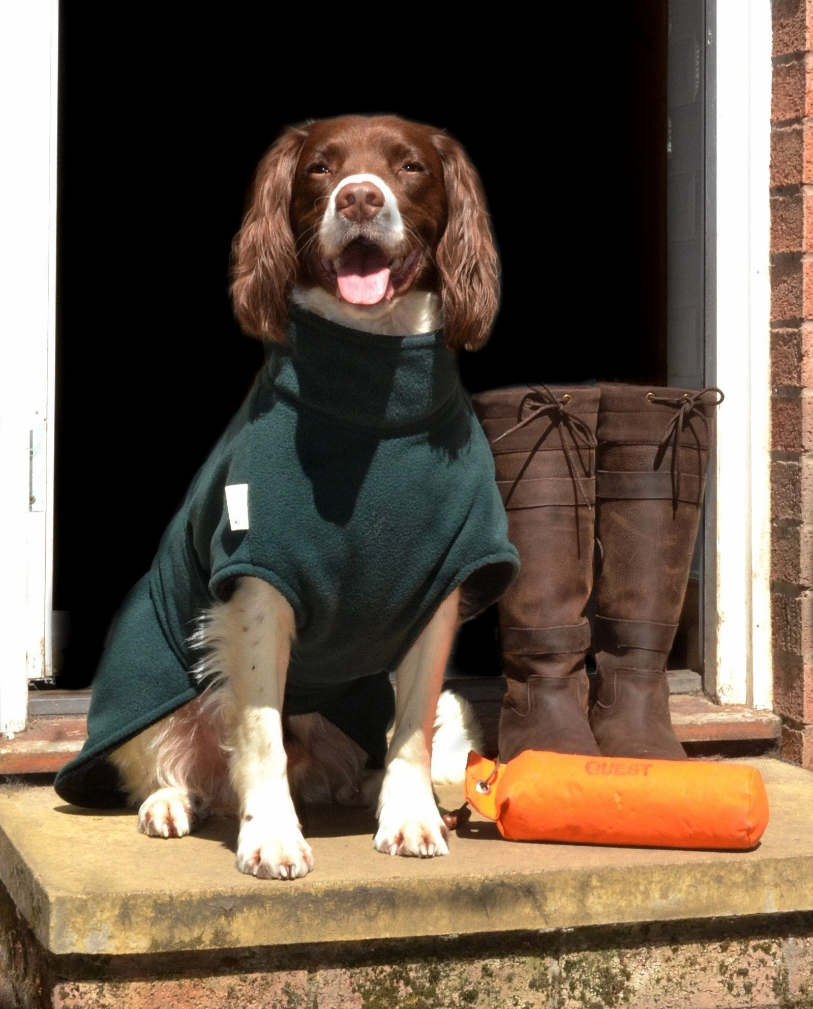 Ultimate Dog Drying Coat