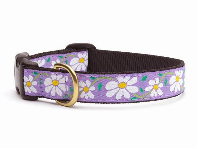 Up Country Purple Daisy Dog Collar