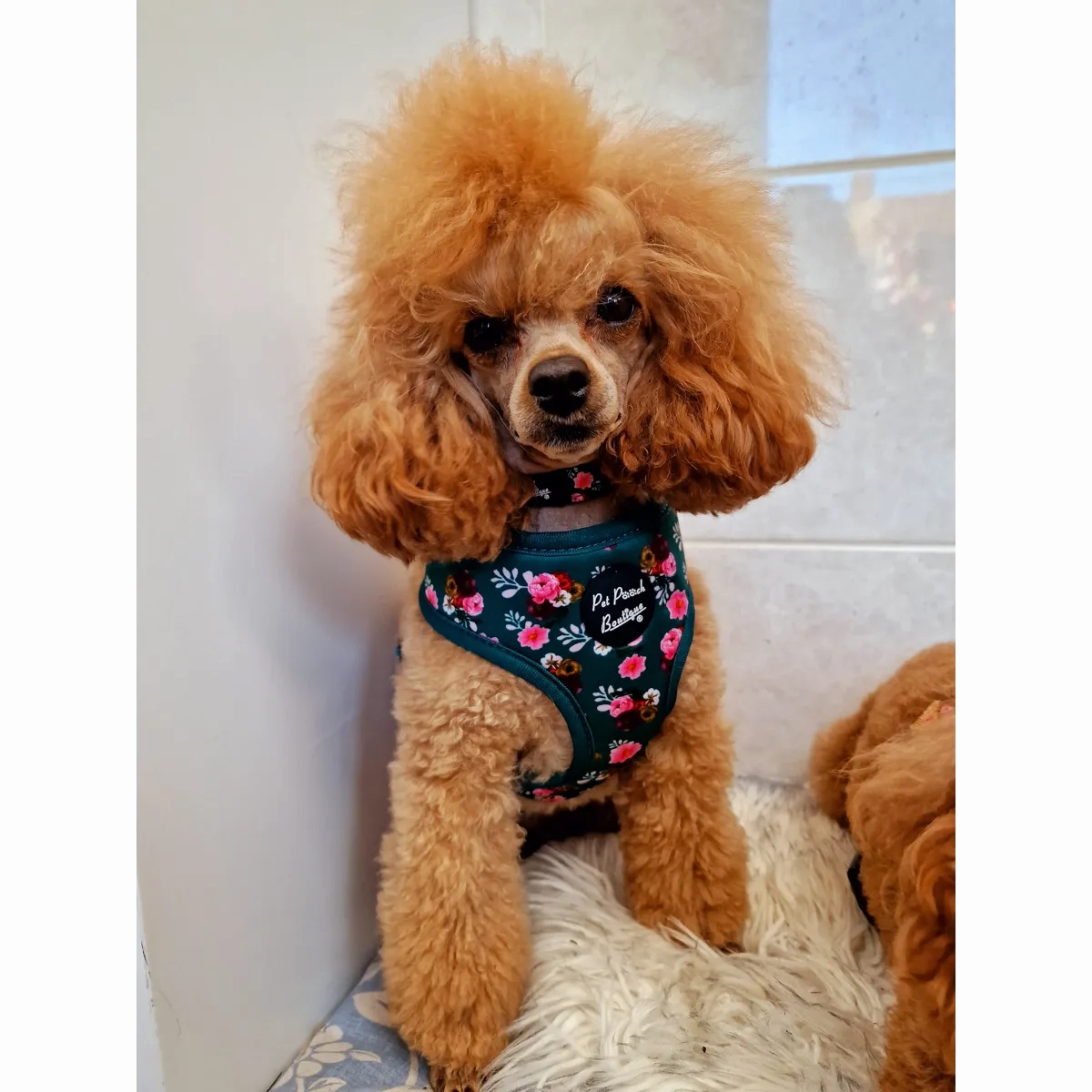 Vintage Clover Green Peonies Dog Harness