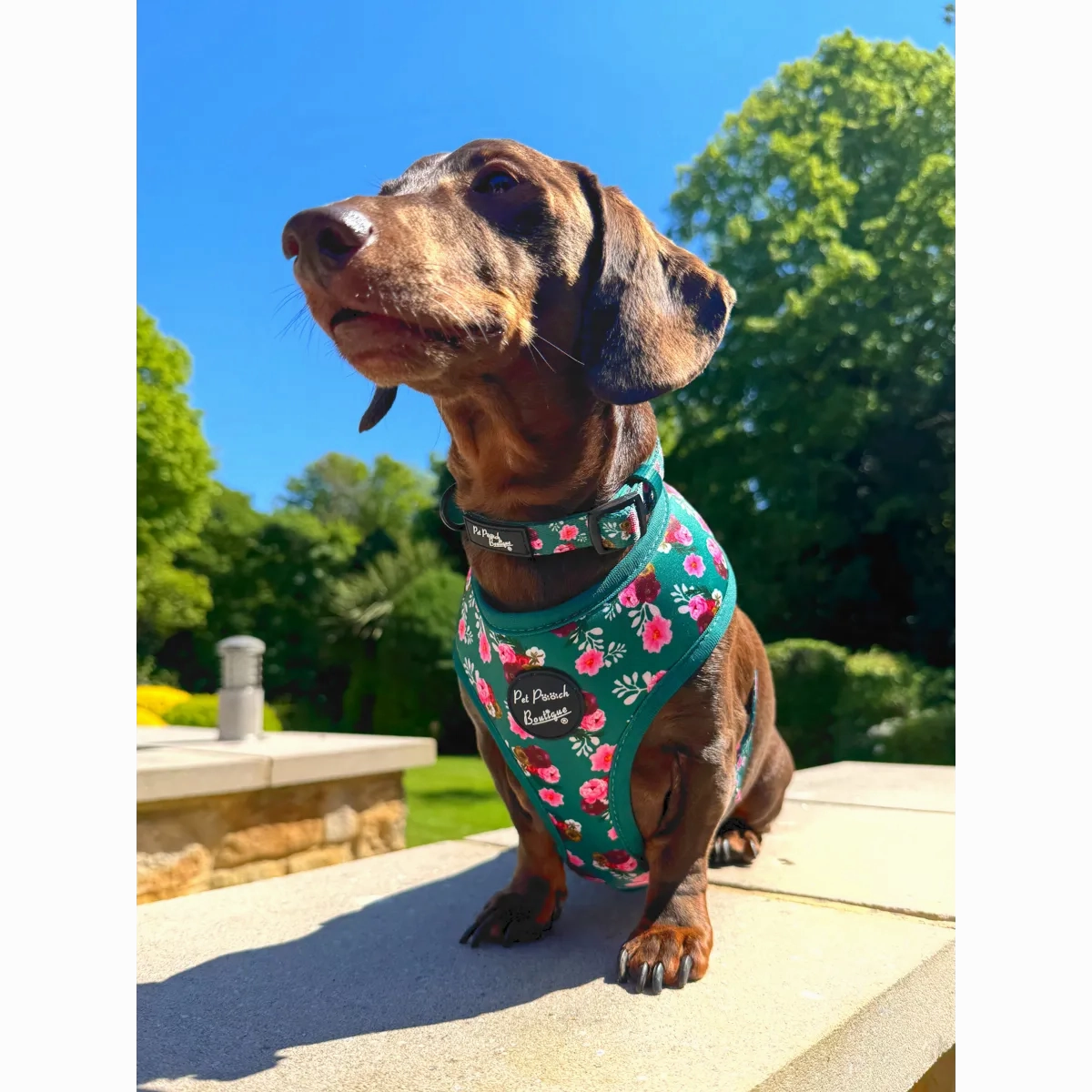 Vintage Clover Green Peonies Dog Harness