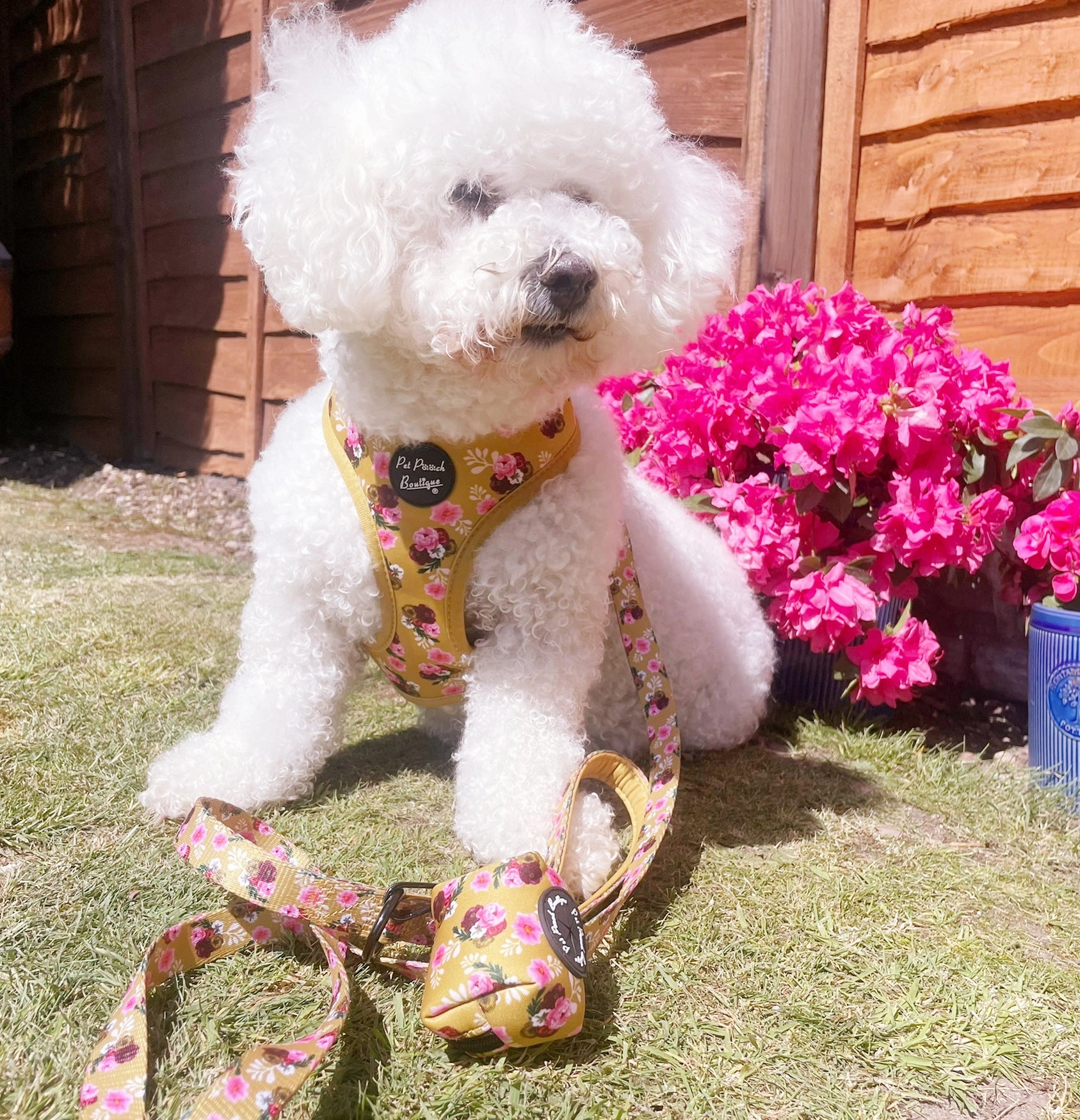 Vintage Yellow Buttercup Peonies Dog Harness