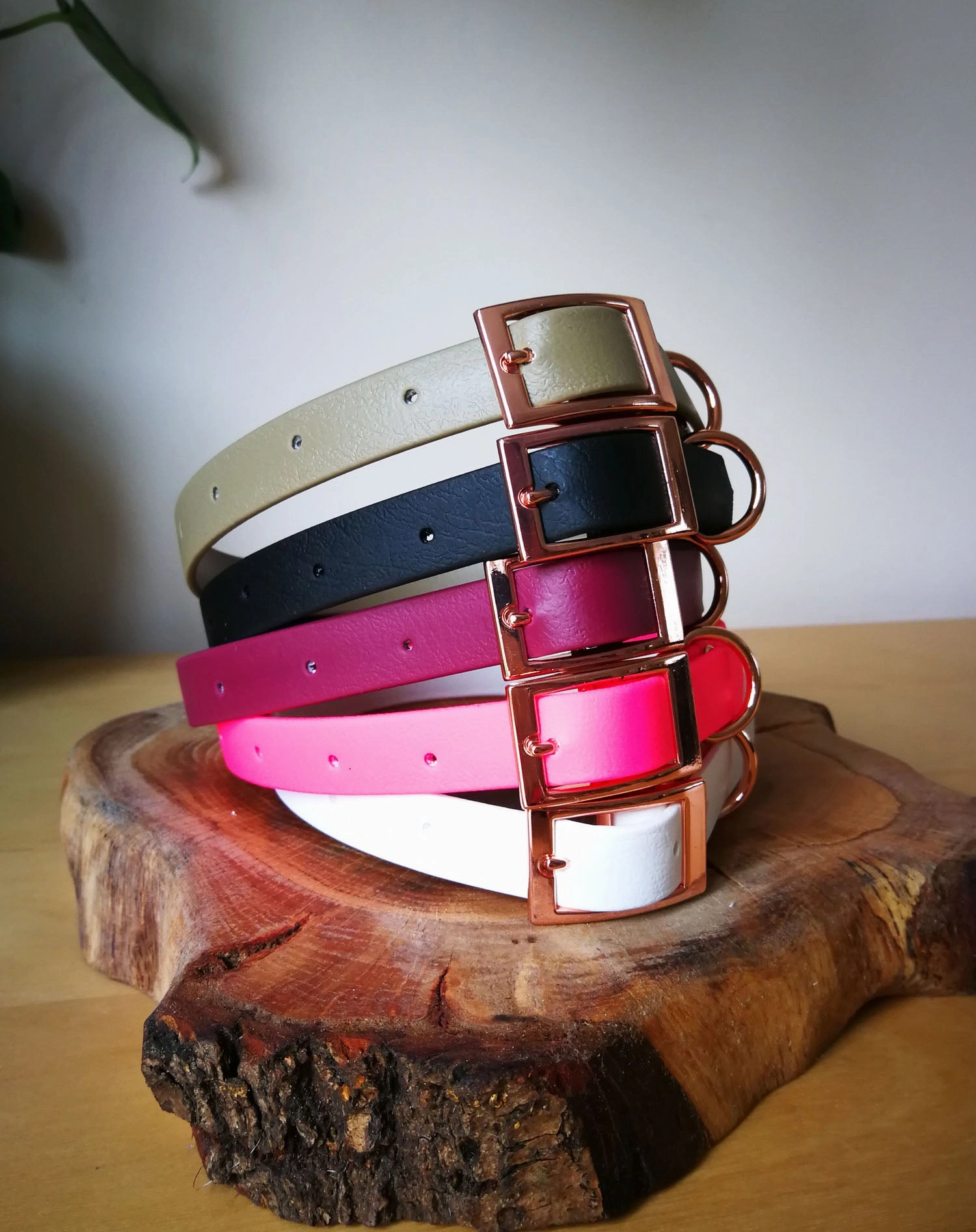 White Biothane Dog Collar