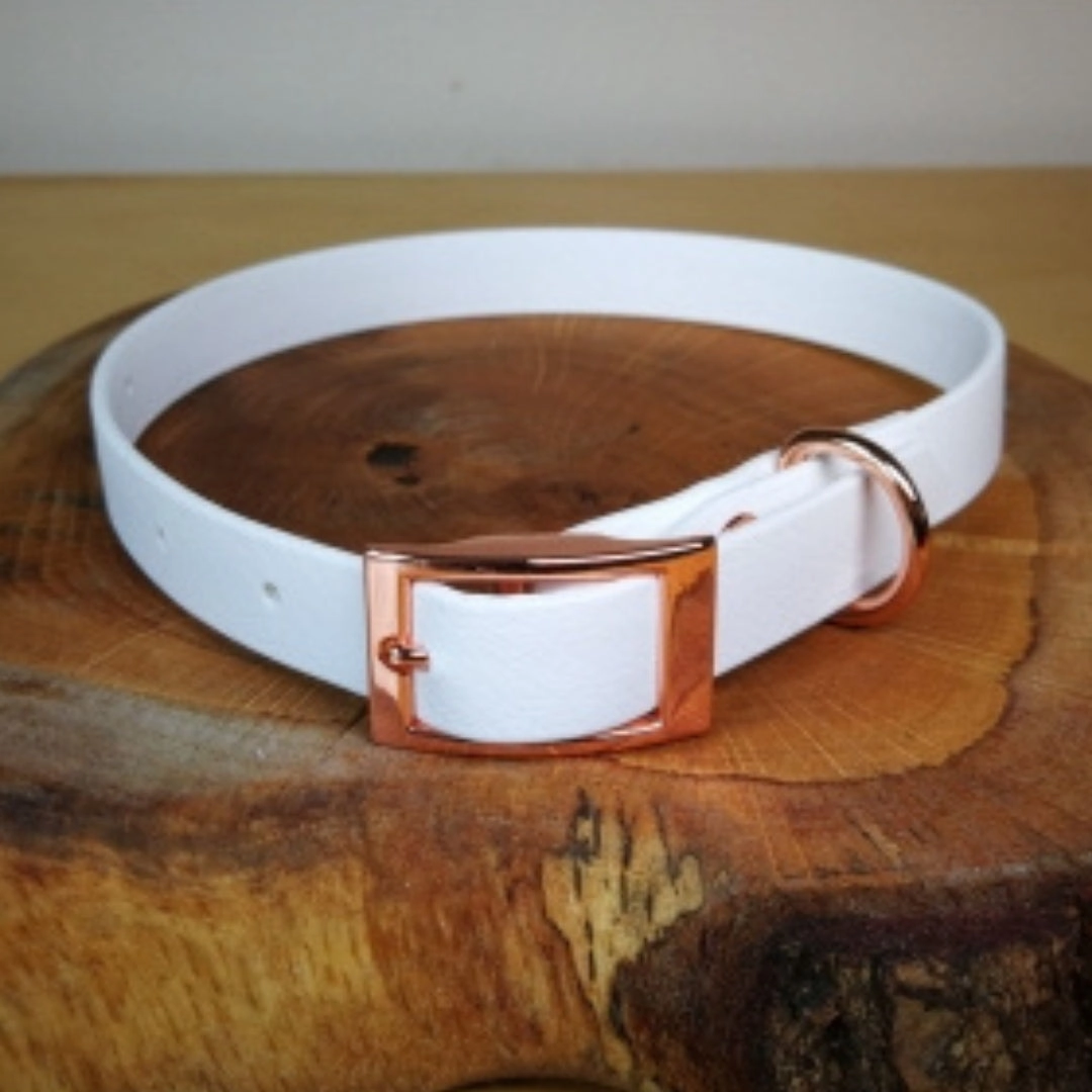 White Biothane Dog Collar