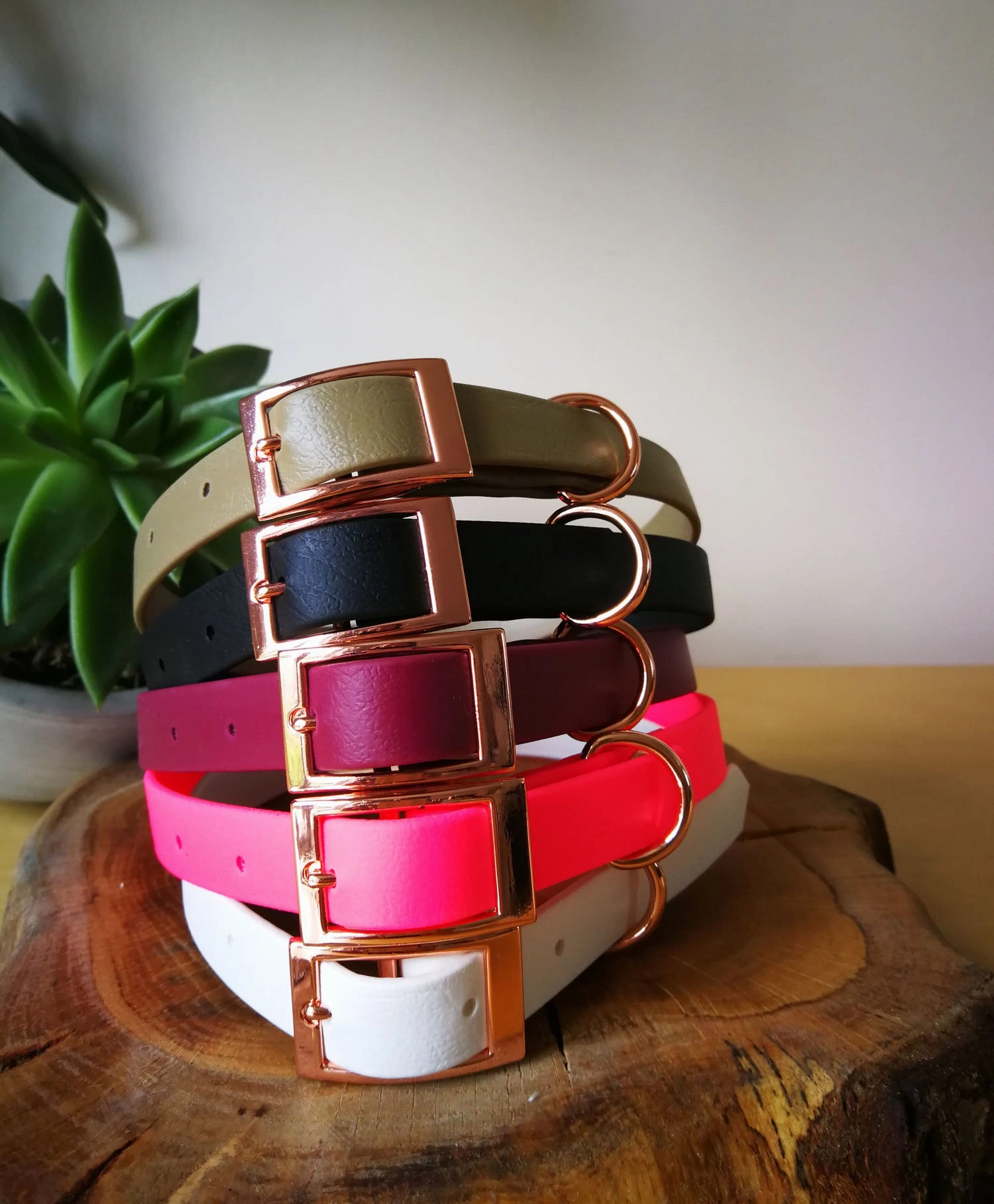 White Biothane Dog Collar