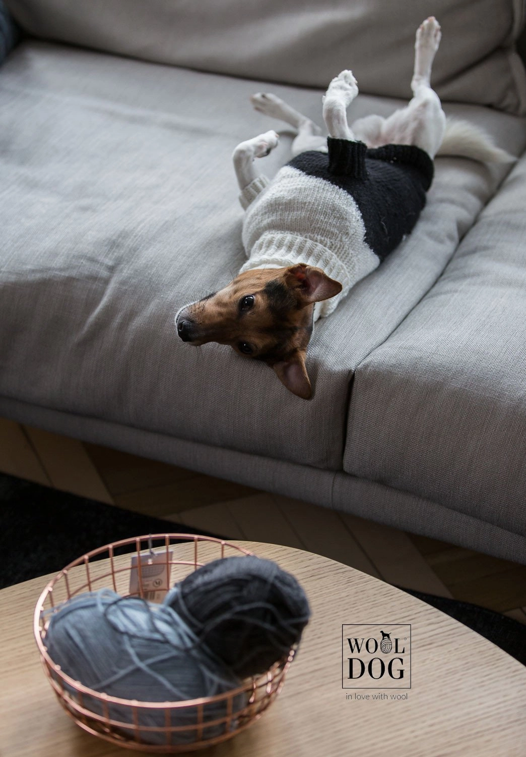 Wooldog Black & White Distant Star Hand-Knitted Dog Jumper