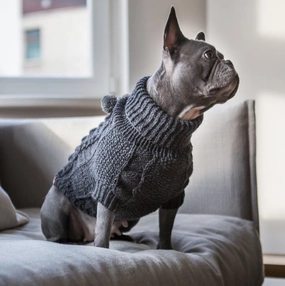 Wooldog Classic Dark Graphite Grey Hand-Knitted Dog Jumper