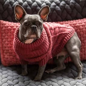 Wooldog Classic Hortensia Hand-Knitted Dog Jumper