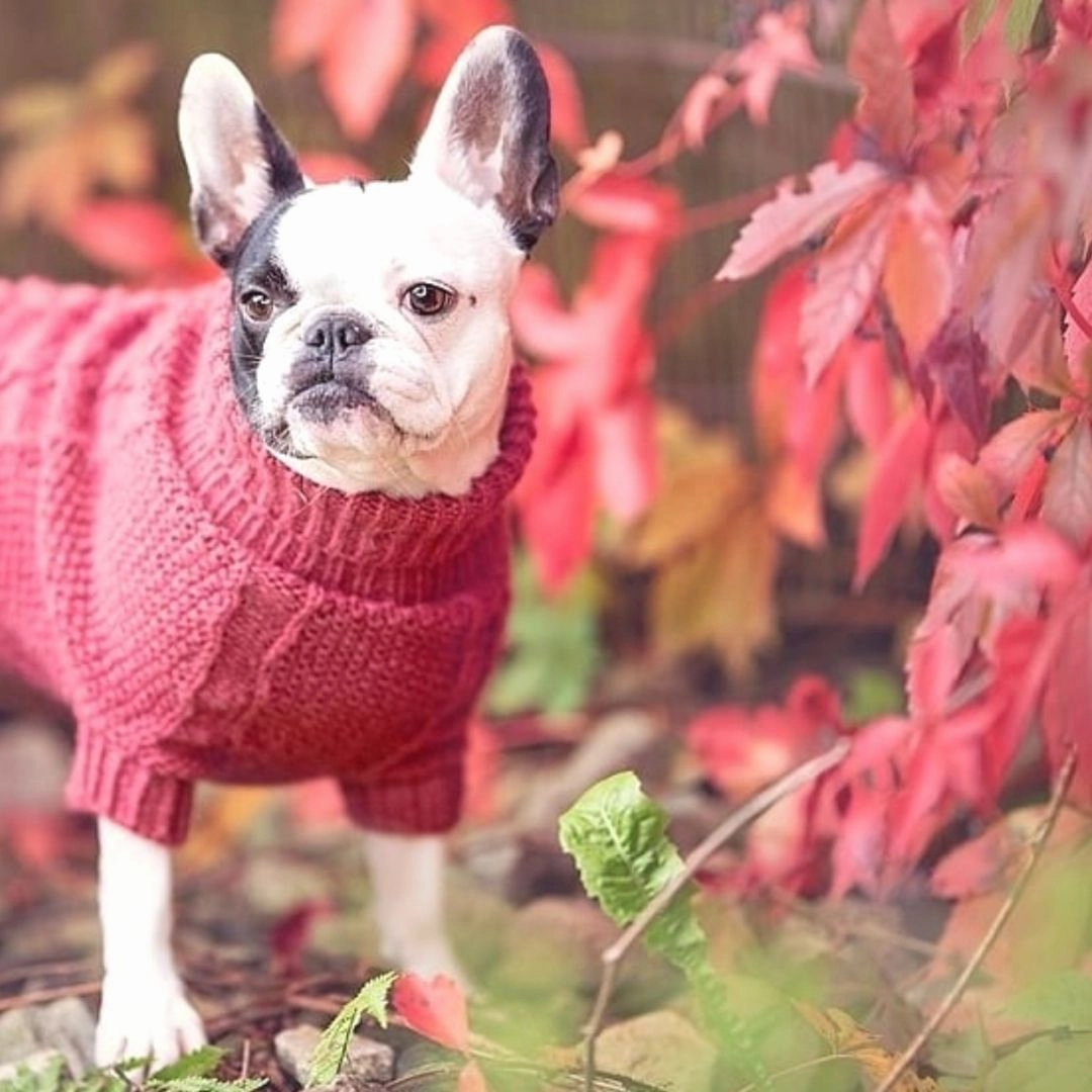 Wooldog Classic Hortensia Hand-Knitted Dog Jumper