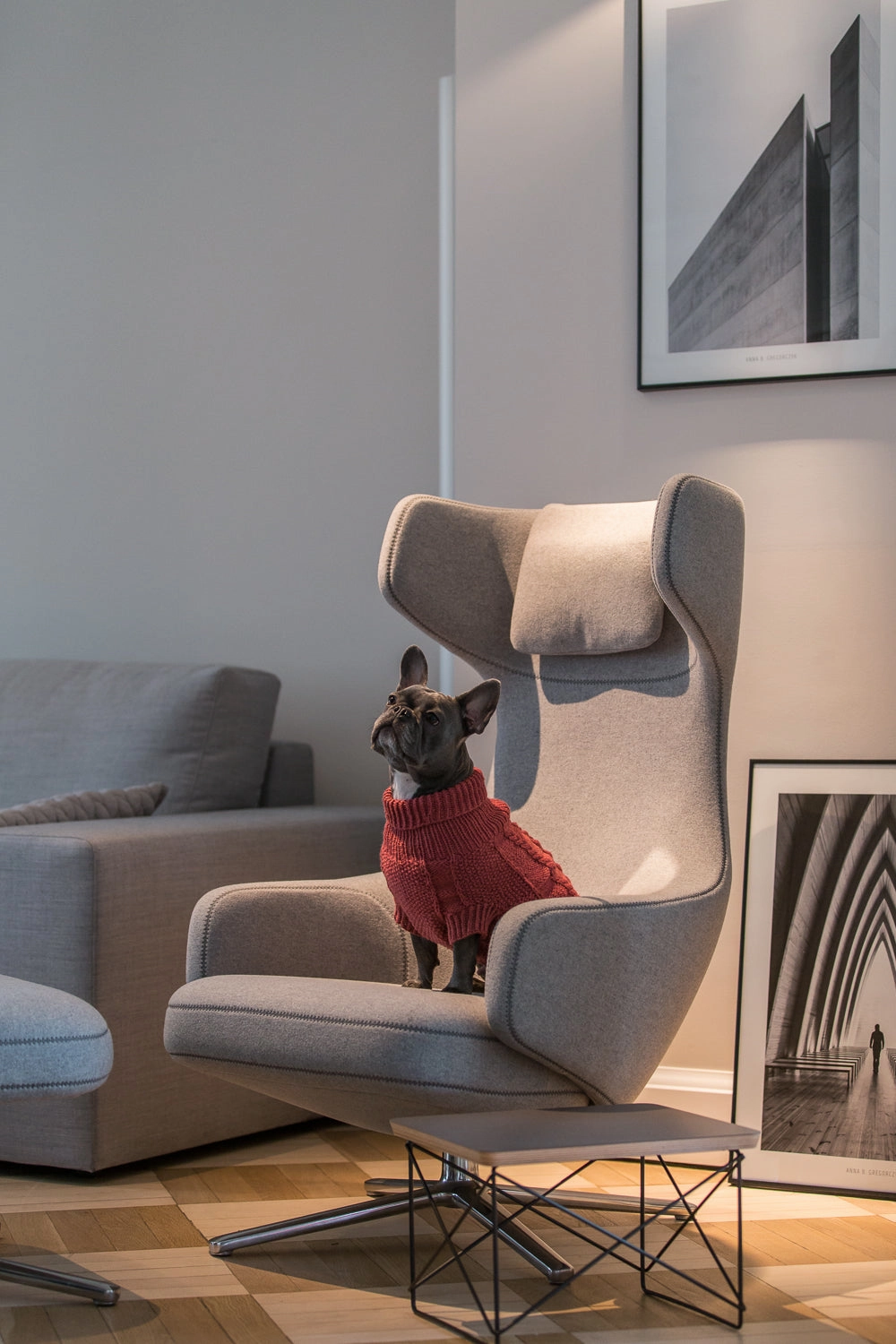 Wooldog Classic Hortensia Hand-Knitted Dog Jumper